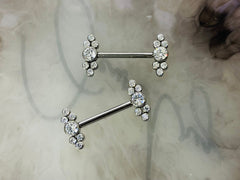 Pair of 14G Implant Grade Titanium Internally Threaded Sparkling Bezel Set Clear Gem End Nipple Barbell