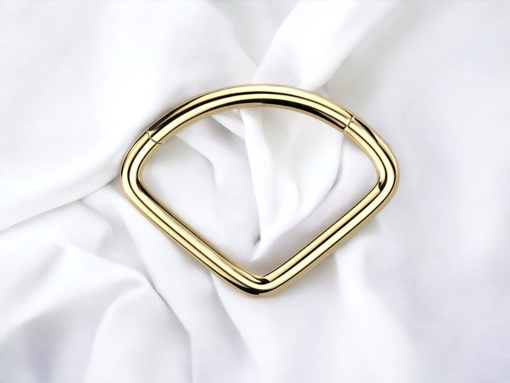 Dainty Titanium Gold Plain Wide Minimalist Hinged Septum Jewelry Clicker Ring