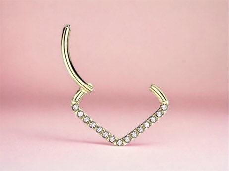 Dainty Titanium Gold Clear Stone Wide Minimalist Hinged Septum Jewelry Clicker Ring